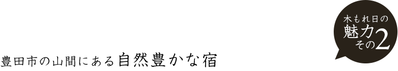 魅力その2 豊田市の山間にある自然豊かな宿