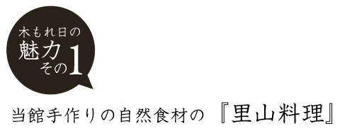 魅力その１　当館手作りの自然食材の『里山料理』