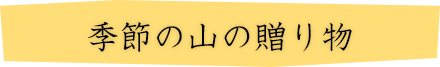 季節の山の贈り物